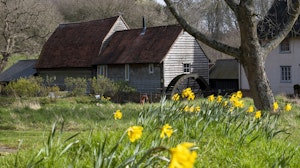 Green & Pleasant Land image 14