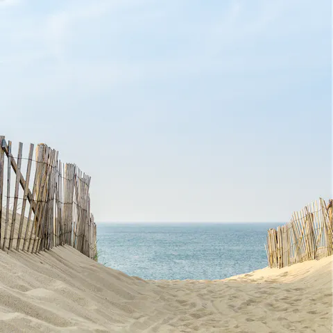 Hop from one sandy beach to the next around Cape Cod