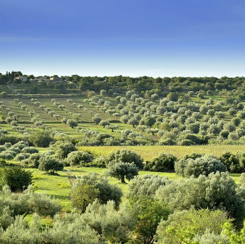 Explore the beautiful Sicilian countryside of the Ragusa region