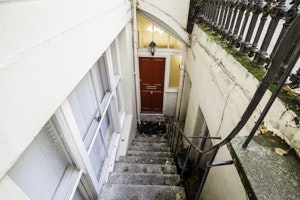 Portobello Peregrine image 4