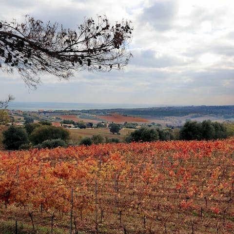 Enjoy sprawling vineyard views from the first floor