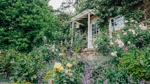 Faerie World image 1