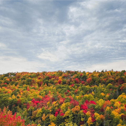 Take a drive through the Slide Mountain Wilderness