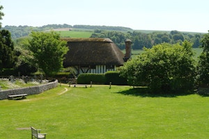 The Village Green image 14