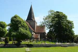 The Village Green image 9