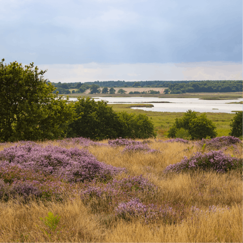 Explore the tranquil beauty of the surrounding Suffolk Coast and Heaths Area of Outstanding Natural Beauty