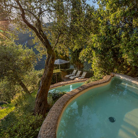 Swim under the olive trees in one of two swimming pools