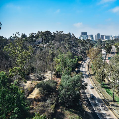 Make the fifteen-minute walk to the walking trails and gardens of Balboa Park