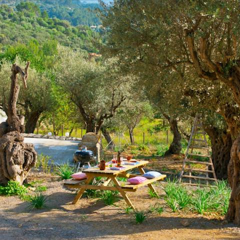 Enjoy an alfresco meal surrounded by nature