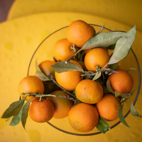 Enjoy the delicious, local produce