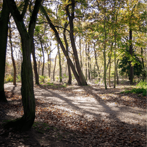 Go for a stroll around the verdant Bois de Boulogne, five minutes on foot