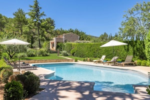 Luberon Lavender image 1