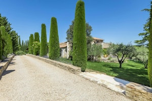 Luberon Lavender image 7