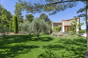 Luberon Lavender image 5