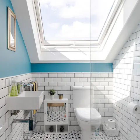 The bathroom skylight