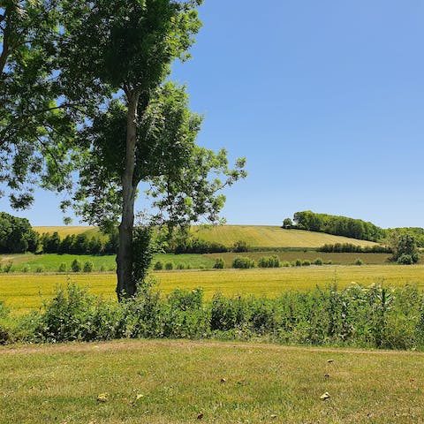 Hike through the Pyrénéan countryside in summer