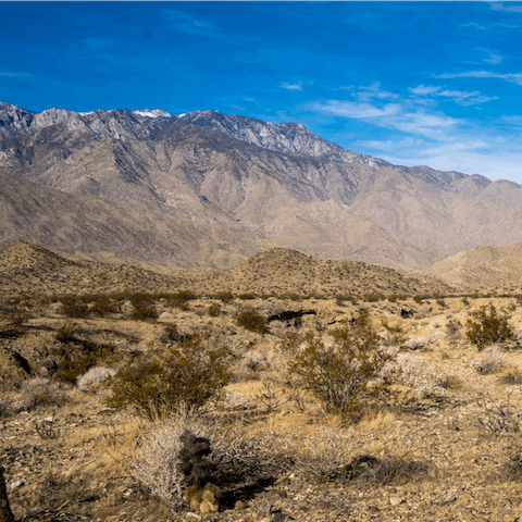 Tie your laces tight and follow the Frank Bogert Trail, just ten minutes from your doorstep