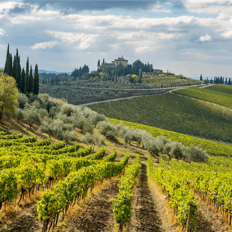 Explore the market town of Radda over in Chianti, just ten minutes away by car