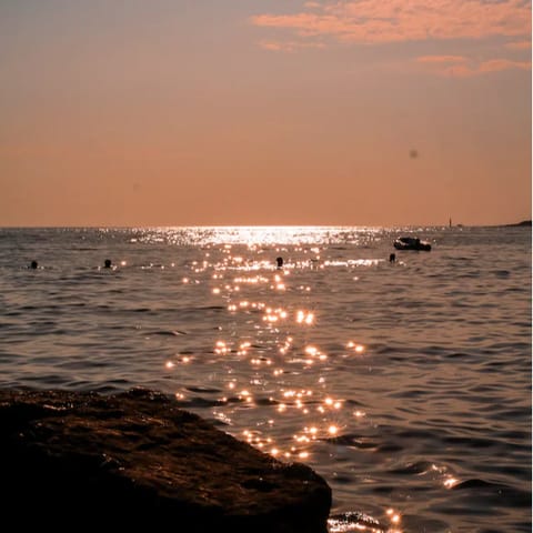 Take a sunset boat trip from Poreč harbour to go dolphin spotting