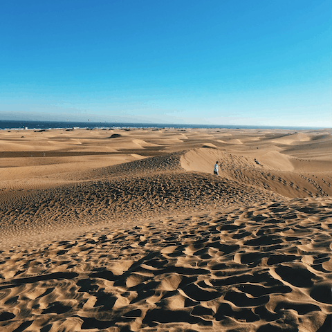 Stroll the famous sand dunes of Maspalomas 