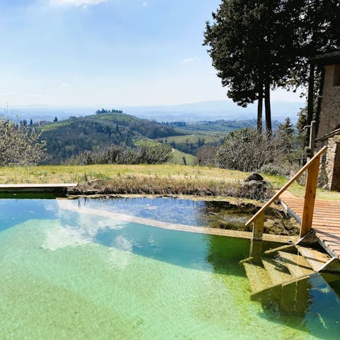 Overlook the Tuscan countryside from the shared natural pool
