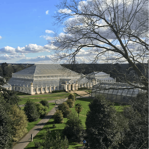 Relax in the majestic Kew Gardens after a twenty-minute drive