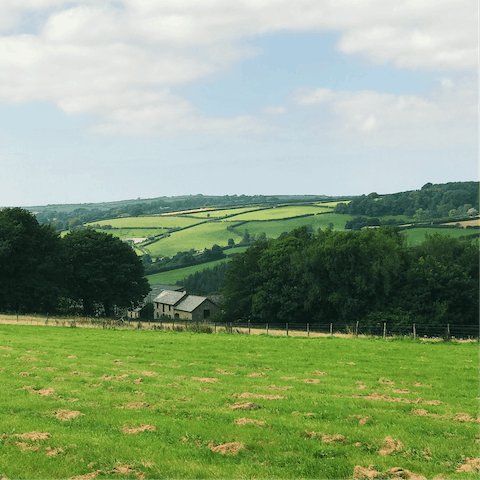 Stroll through the glorious Devonshire countryside and admire the natural beauty around you