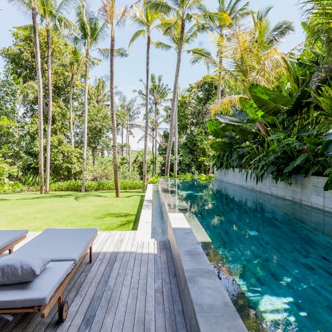 Lie back by the lap pool under the palm trees