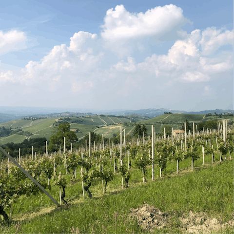 Explore the beautiful Piedmontese countryside that surrounds this rural home