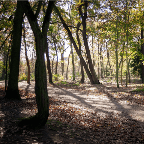 Rent bikes and explore nearby Bois de Boulogne