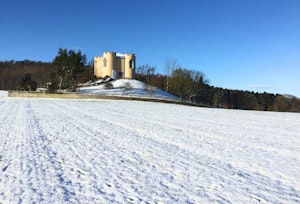 The Snowflake image 6