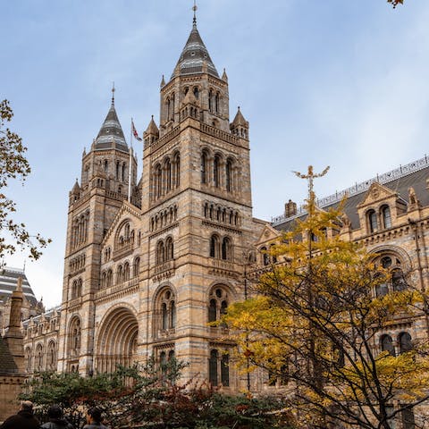 Stay in South Kensington, renowned for its luxury shopping, museums, restaurants and theatres  