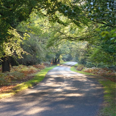 The iconic New Forest is a short drive away
