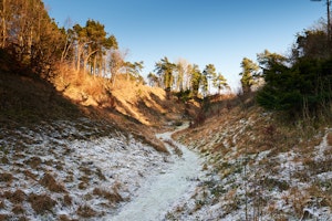 Woodview image 8