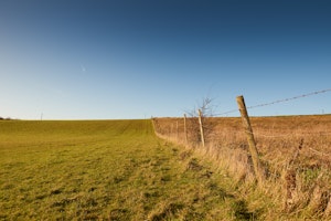 Woodview image 6
