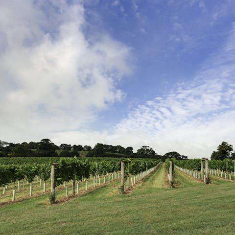 Wander the vineyards and farmland of the estate right from your doorstep