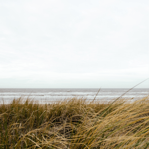 Treat yourself to a day at the beach – it's a twenty-minute walk through Duinen van Texel National Park