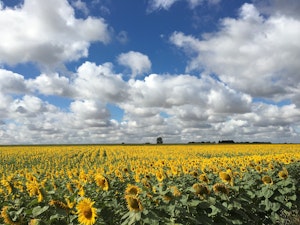 Loire Valley Delight image 12