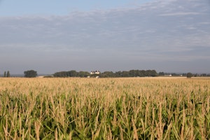 Loire Valley Delight image 5