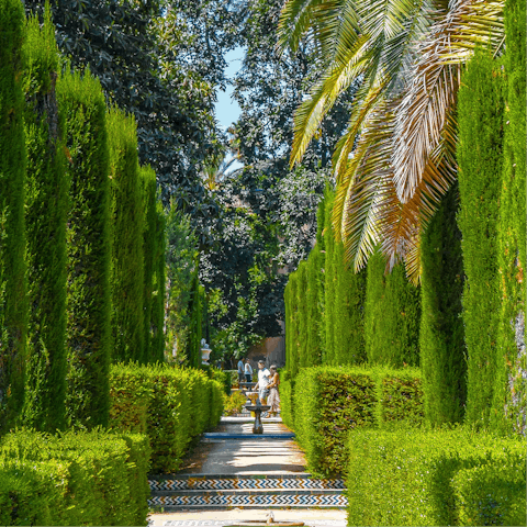 Stroll through the majestic gardens of the Real Alcázar Palace