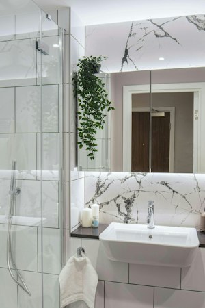 Elegant Modern image 5
