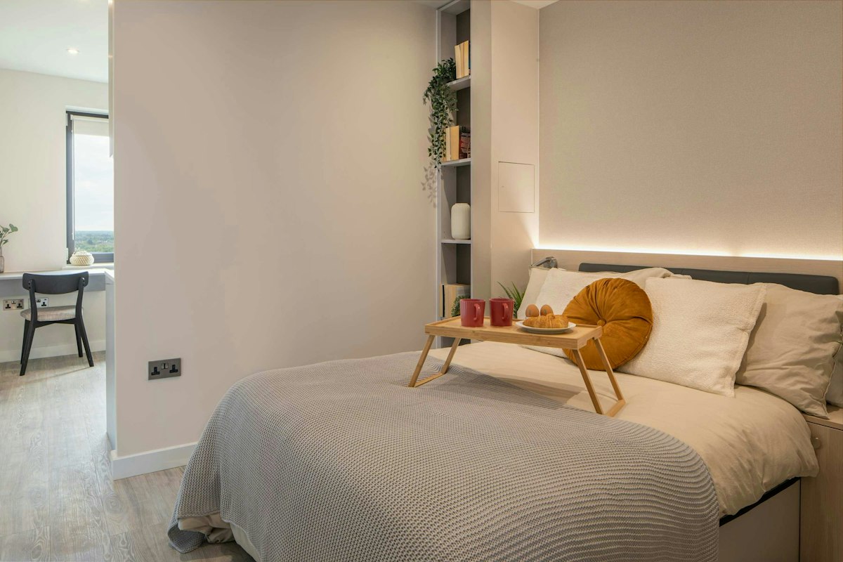 Elegant Modern