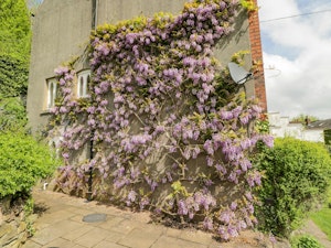 Wye Valley Views image 7