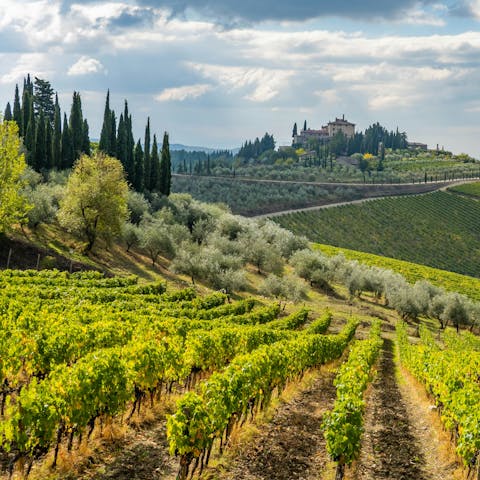 Visit Radda in Chianti, a 7km drive away