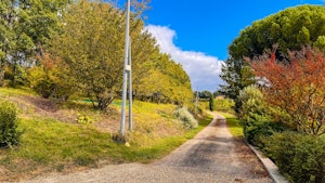 The Truffle Orchard image 11
