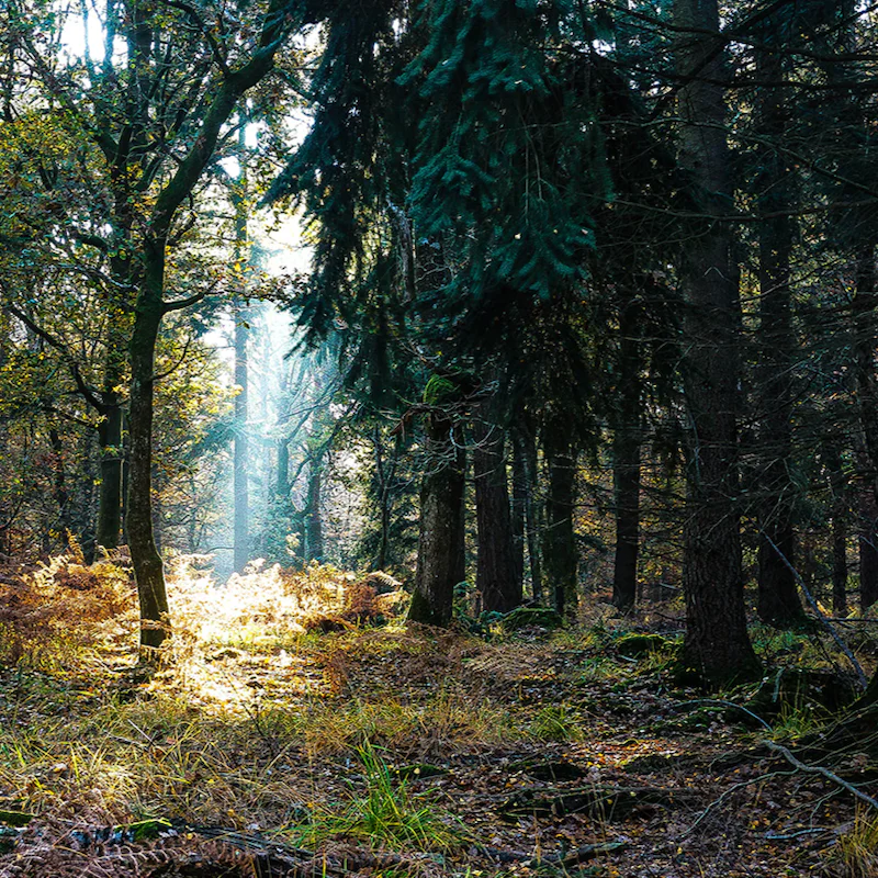 Breathe in the outdoors with a morning hike through the nearby trails