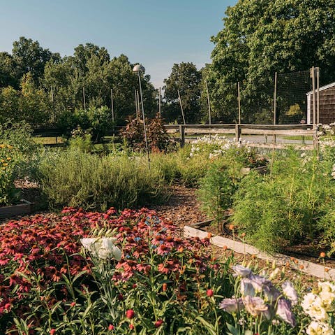Breathe in the wonderful fragrances of the herb and vegetable garden