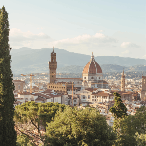 Drive twenty-five minutes into the historic centre of Florence