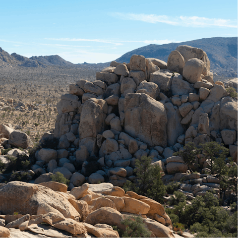 Drive to Joshua Tree National Park in less than an hour