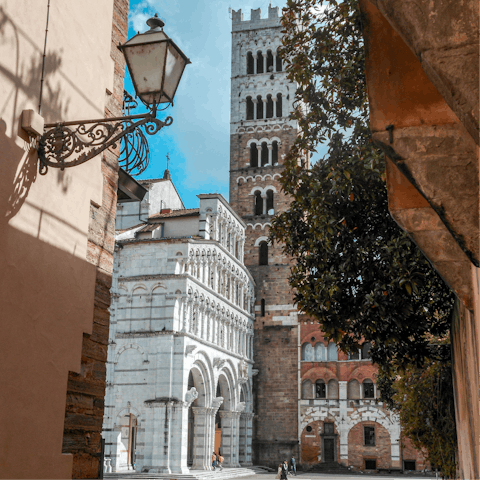 Drive into Lucca and visit the Romanesque-Gothic Guinigi Tower